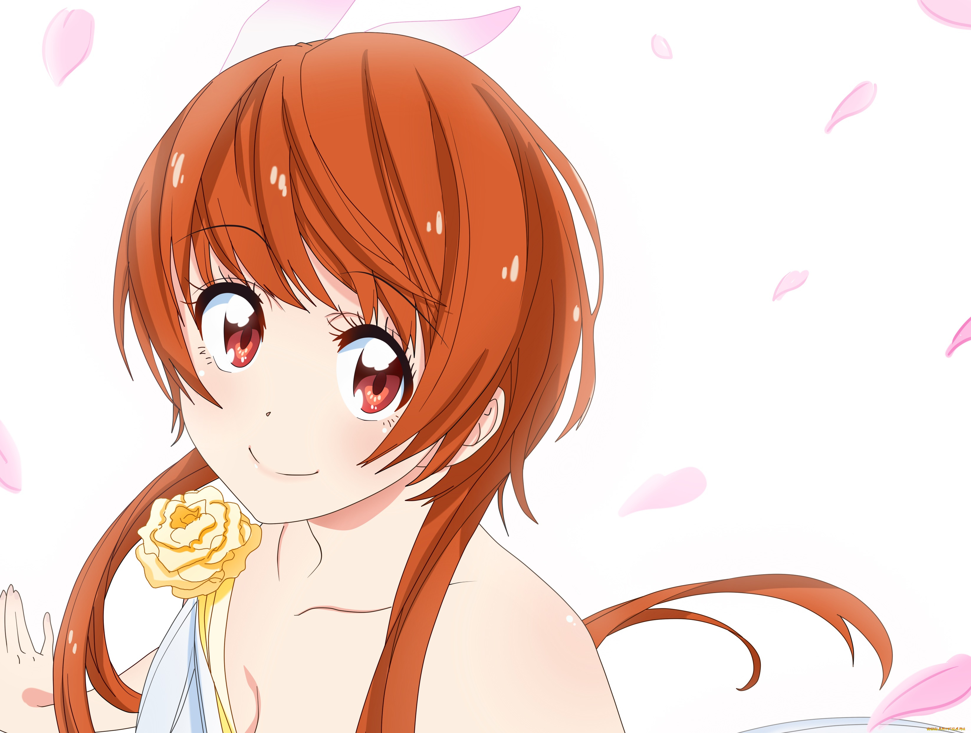 , nisekoi, , , 